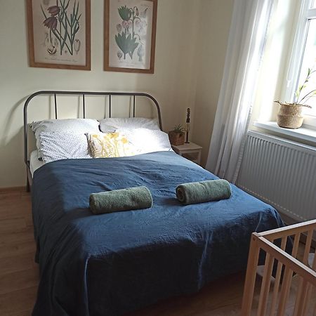 זיילונה גאורה Apartament Przy Wandy מראה חיצוני תמונה