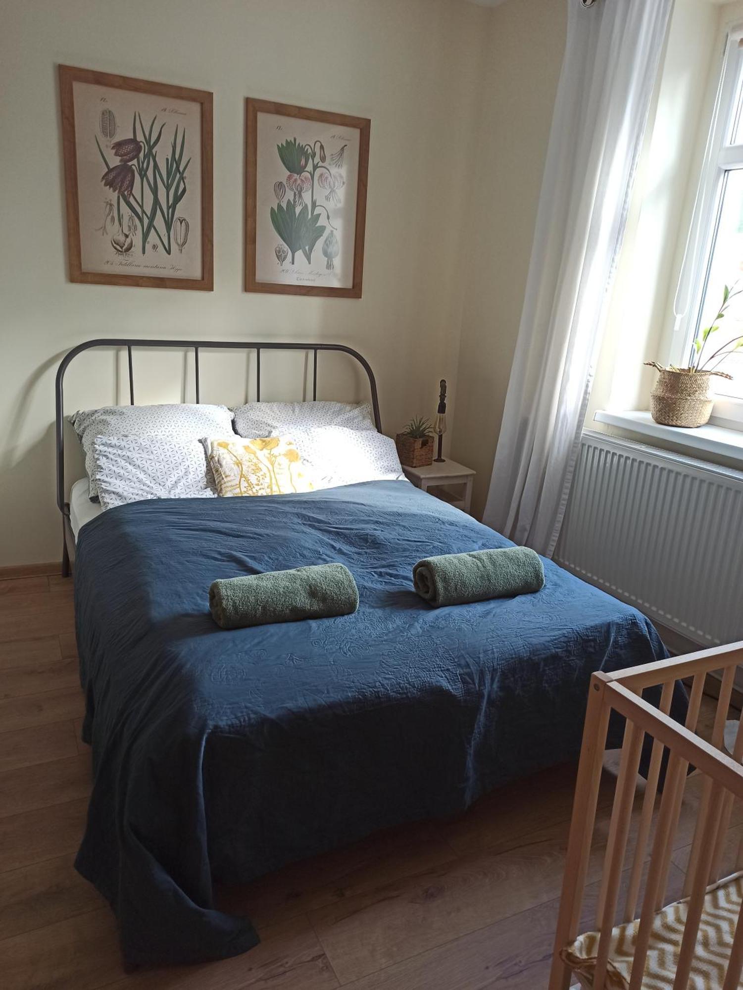 זיילונה גאורה Apartament Przy Wandy מראה חיצוני תמונה